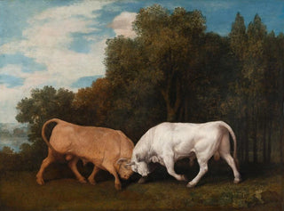 Fight of bulls - George Stubbs — artwork view