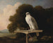 Greenland Falcon Painting - George Stubbs — artwork view