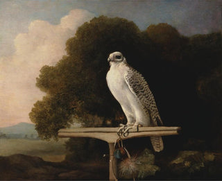 Greenland Falcon Painting - George Stubbs — artwork view