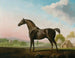 William de Grosvenor dans un paysage - George Stubbs — artwork view