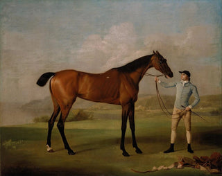 Molly Longlegs with her jockey - George Stubbs — artwork view