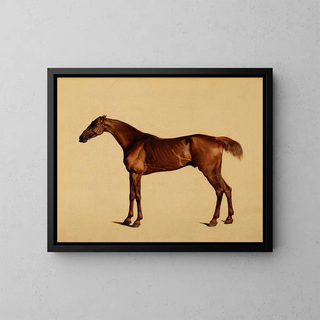 Pangloss - George Stubbs — framed artwork on a wall