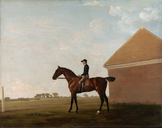 Racecourse with Jockey at Newmarket - George Stubbs — artwork view
