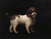 Water Spaniel Painting - George Stubbs — artwork view
