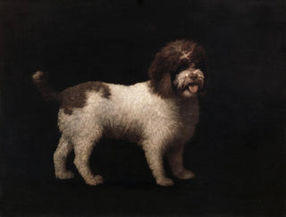 Water Spaniel Painting - George Stubbs — artwork view