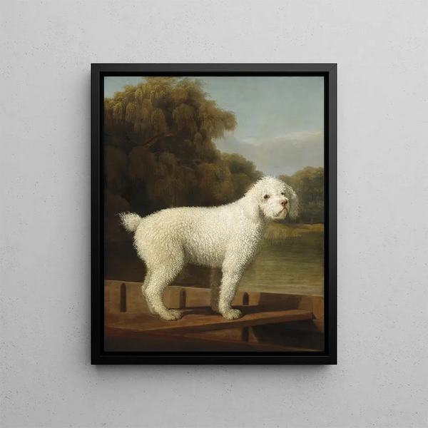 Caniche blanc dans un punt - George Stubbs — framed artwork on a wall
