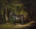 Zebra - George Stubbs — artwork view