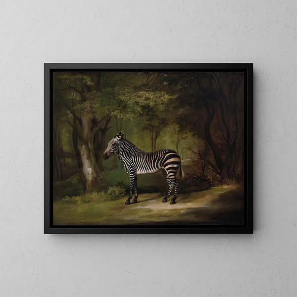 Zebra - George Stubbs — framed artwork on a wall