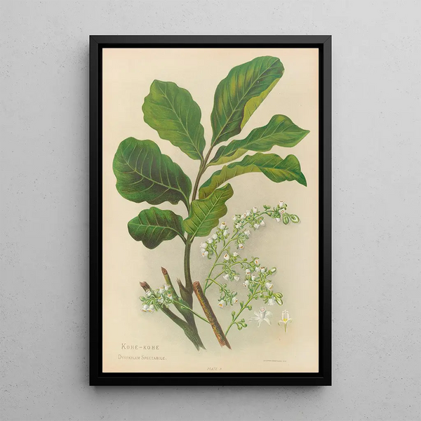 KoheKohe Painting - Georgina Burne Hetley — framed artwork on a wall
