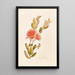 Pohotukawa Metrosideros tomentosa - Georgina Burne Hetley — framed artwork on a wall