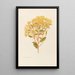 Senecio perdicioides - Georgina Burne Hetley — framed artwork on a wall
