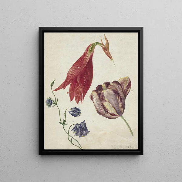 Tulip Akelei and Amaryllis - Georgius Jacobus Johannes van Os — framed artwork on a wall