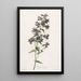 Campanule gantelée - Gerard van Spaendonck — framed artwork on a wall