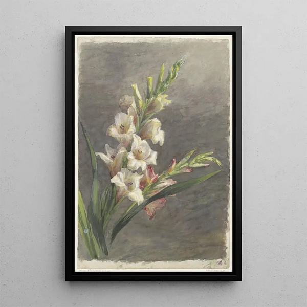 Gladioli - Gerardina Jacoba van de Sande Bakhuyzen — framed artwork on a wall