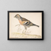 Fringille des bruyères - Gerardus van Veen — framed artwork on a wall
