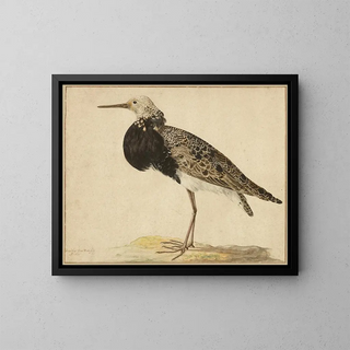 Standing Ruff Painting - Gerardus van Veen — framed artwork on a wall