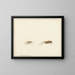 Two insects - Gerardus van Veen — framed artwork on a wall