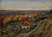 View of Nevlunghavn - Gerhard Munthe — artwork view