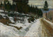 Winter Painting in Nittedal - Gerhard Munthe — artwork view