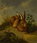 A hare among plants and grasses - German School — artwork view