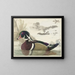 Duck by Caroline - Gerrit van den Heuvel — framed artwork on a wall
