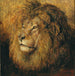 Head of Lion - Geza Vastagh — artwork view