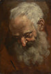 Head of a bearded man Nicodemus - Giacomo Cavedone — artwork view