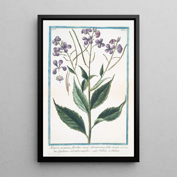 Wild Julienne Painting - Giorgio Bonelli — framed artwork on a wall