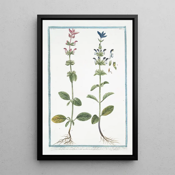 Sage annual - Giorgio Bonelli — framed artwork on a wall