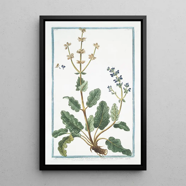 Wild Ormin Painting - Giorgio Bonelli — framed artwork on a wall