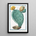 Opuntia, also known as Herbariorum Ficus Indica, with spiny leaves, larger fruit, prickly pear, or Cardasse - Giorgio Bonelli — framed artwork on a wall