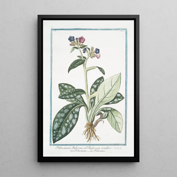 Pulmonary Painting of the Italians - Giorgio Bonelli — framed artwork on a wall