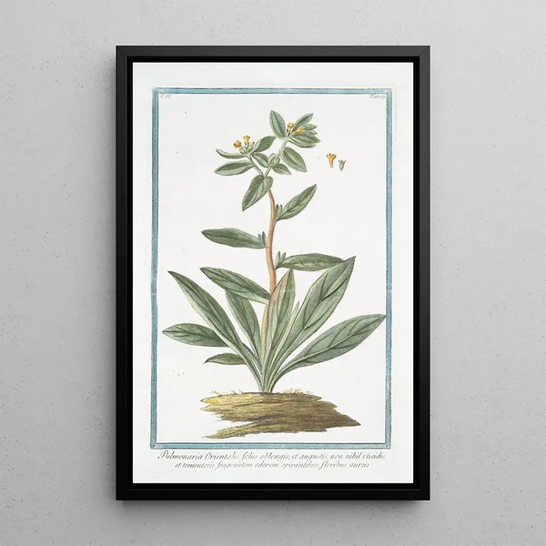 Oriental Lung Painting with Oblong and Narrow Leaves - Giorgio Bonelli — framed artwork on a wall
