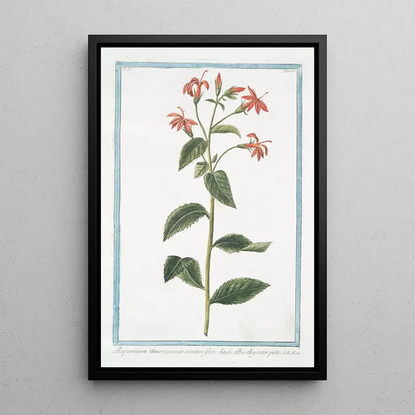 American Rapuntium painting with scarlet flower - Giorgio Bonelli — framed artwork on a wall
