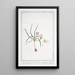Romulée with purple and yellow flowers - Giorgio Bonelli — framed artwork on a wall