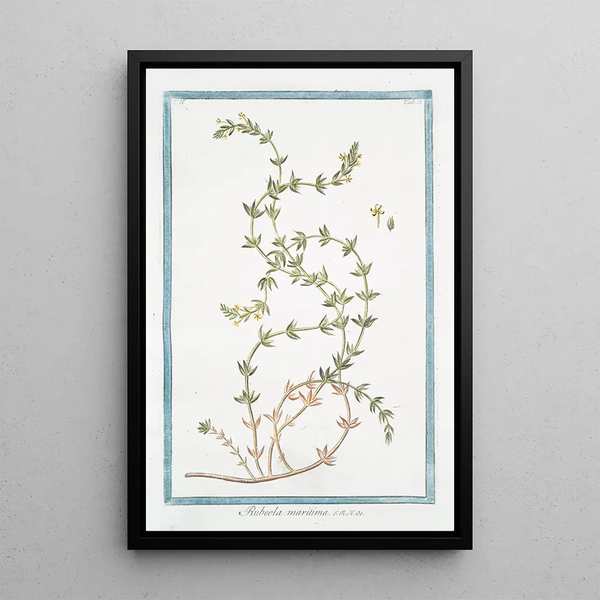 Maritime Rubella Painting - Giorgio Bonelli — framed artwork on a wall