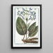 Italian Sclarea painting with long root - Giorgio Bonelli — framed artwork on a wall