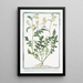 Sisymbrium palustre rampant à feuille de cresson ou Roquette des marais à petite fleur jaune Moutarde des haies - Giorgio Bonelli — framed artwork on a wall