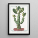 Tithymalus aizooides arborescens with angular spiny stem and laurel-leaf leaves, spiny euphorbia with broad leaves - Giorgio Bonelli — framed artwork on a wall