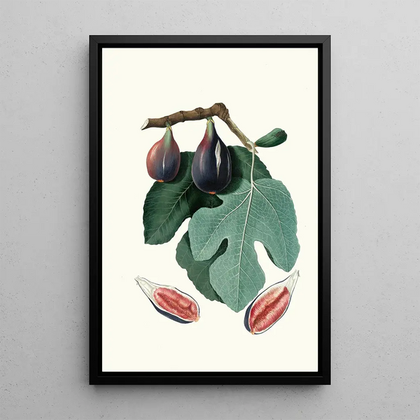 Fig Tree Painting San Piero - Giorgio Gallesio — framed artwork on a wall