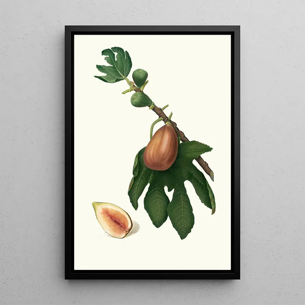 Fig Tree Painting - Giorgio Gallesio — framed artwork on a wall