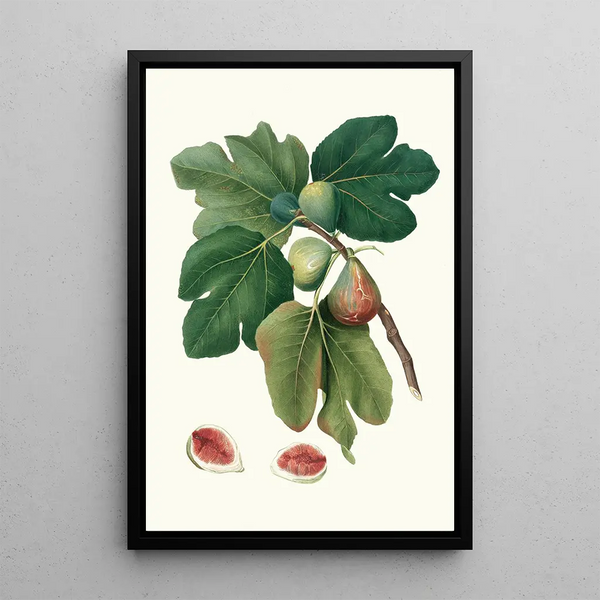 Fig Tree Painting - Giorgio Gallesio — framed artwork on a wall