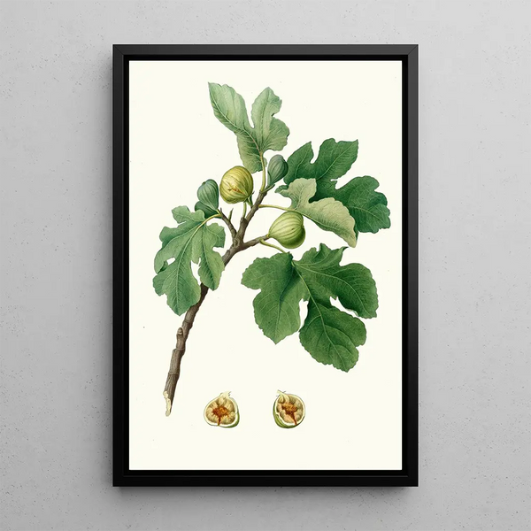 Fig Tree Painting - Giorgio Gallesio — framed artwork on a wall