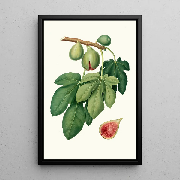 Fig Tree Painting in Verdone - Giorgio Gallesio — framed artwork on a wall