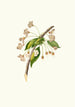Cherry Blossom Painting Grafione - Giorgio Gallesio — artwork view