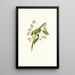 Cherry Blossom Painting Grafione - Giorgio Gallesio — framed artwork on a wall