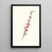 Peach Blossom with Magnipetalous Corollas in Purple - Giorgio Gallesio — framed artwork on a wall