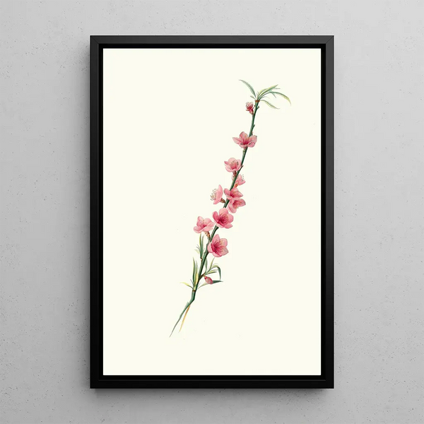 Peach Blossom with Magnipetalous Corollas in Purple - Giorgio Gallesio — framed artwork on a wall