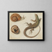 a lizard with a snail and a snail shell - Giovanna Garzoni — framed artwork on a wall