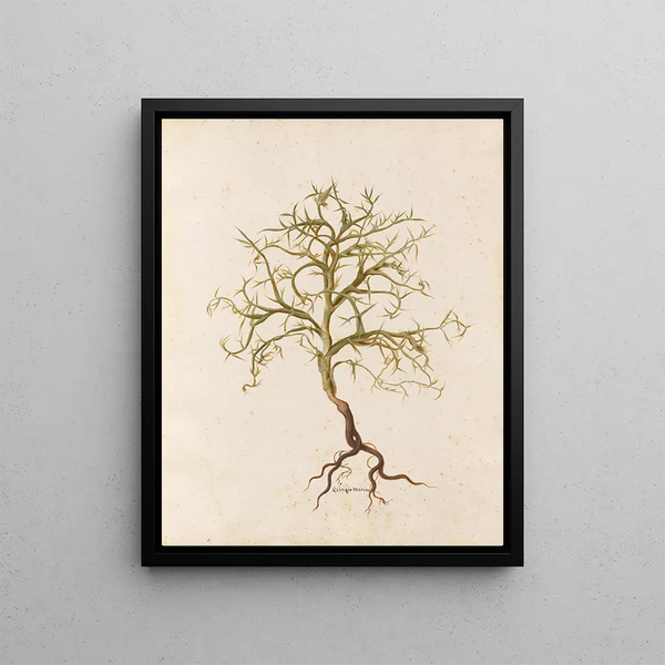Plants diverses Pl07 - Giovanna Garzoni — framed artwork on a wall